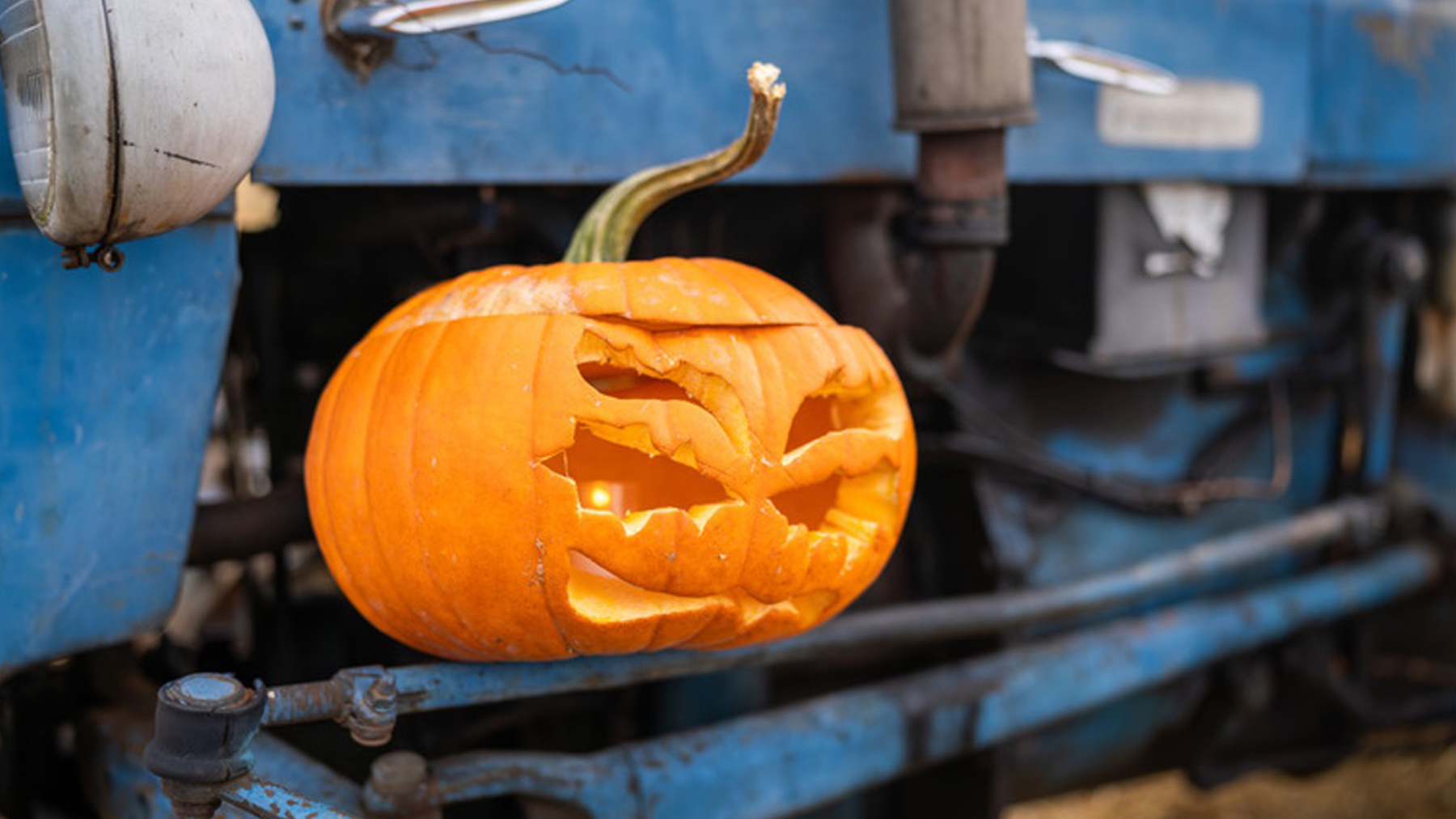 Trucker Halloween